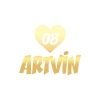 Kalpli 08 Artvin Araba Sticker 17x17 Cm Gold