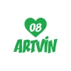 Kalpli 08 Artvin Araba Sticker 17x17 Cm Yeşil