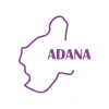 Adana Harita Araba Sticker 17x17 Cm Mor
