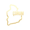 Çorum Harita Araba Sticker 17x17 Cm Gold