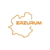 Erzurum Harita Araba Sticker 17x17 Cm Turuncu