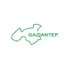 Gaziantep Harita Araba Sticker 17x17 Cm Yeşil