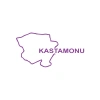 Kastamonu Harita Araba Sticker 17x17 Cm Mor