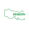 Trabzon Harita Araba Sticker 17x17 Cm Yeşil