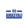 05 Amasyalı Araba Sticker 17x17 Cm Mavi