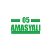 05 Amasyalı Araba Sticker 17x17 Cm Yeşil