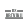 08 Artvinli Araba Sticker 17x17 Cm Gri