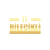 11 Bilecikli Araba Sticker 17x17 Cm Gold
