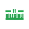 11 Bilecikli Araba Sticker 17x17 Cm Yeşil