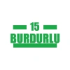 15 Burdurlu Araba Sticker 17x17 Cm Yeşil