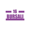 16 Bursalı Araba Sticker 17x17 Cm Mor