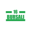 16 Bursalı Araba Sticker 17x17 Cm Yeşil