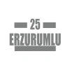 25 Erzurumlu Araba Sticker 17x17 Cm Gri
