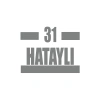 31 Hataylı Araba Sticker 17x17 Cm Gri