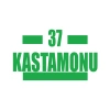 37 Kastamonu Araba Sticker 17x17 Cm Yeşil