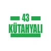 43 Kütahyalı Araba Sticker 17x17 Cm Yeşil