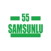 55 Samsunlu Araba Sticker 17x17 Cm Yeşil
