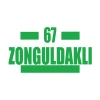67 Zonguldaklı Araba Sticker 17x17 Cm Yeşil