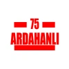 75 Ardahanlı Araba Sticker 17x17 Cm Kırmızı
