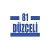 81 Düzceli Araba Sticker 17x17 Cm Mavi