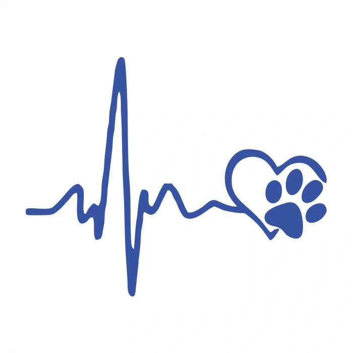 Oto Ritim Pati Sitcker 17x17 Cm Mavi