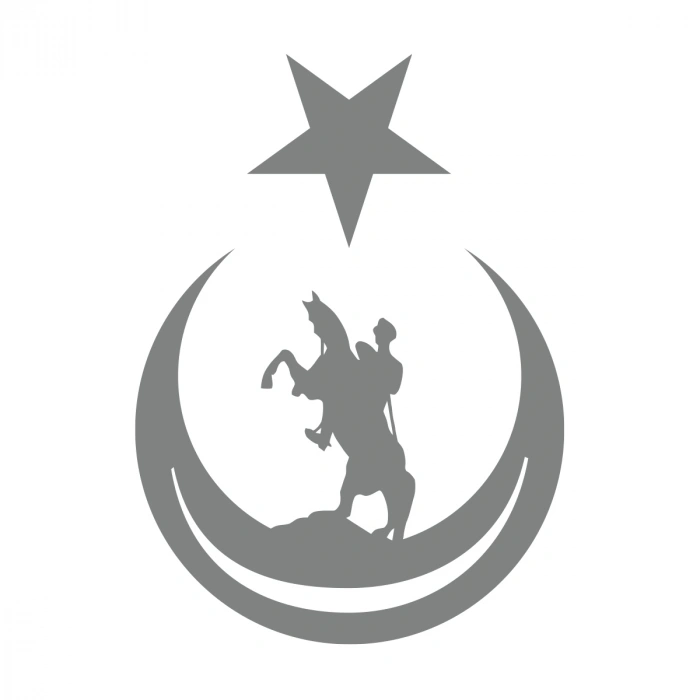 Ay Yıldız İçinde Atatürk Silüeti Sticker17x17 Cm Gri