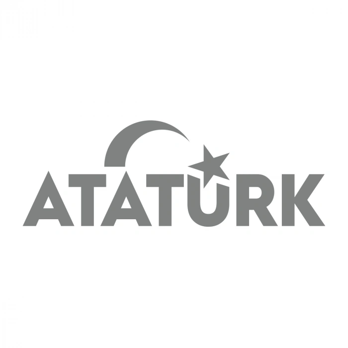 Atatürk yazısı ve Ayyıldız Sticker17x17 Cm Gri