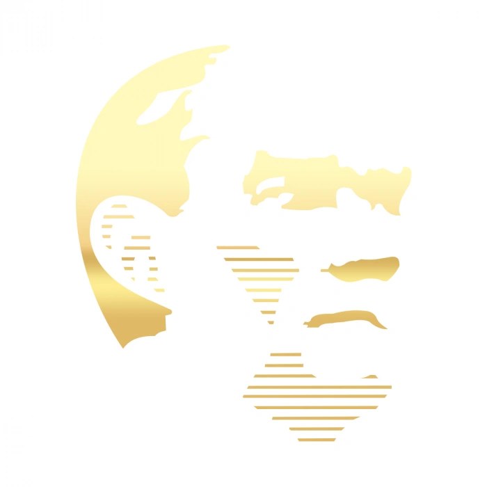 Atatürk Silüet Sticker17x17 Cm Gold