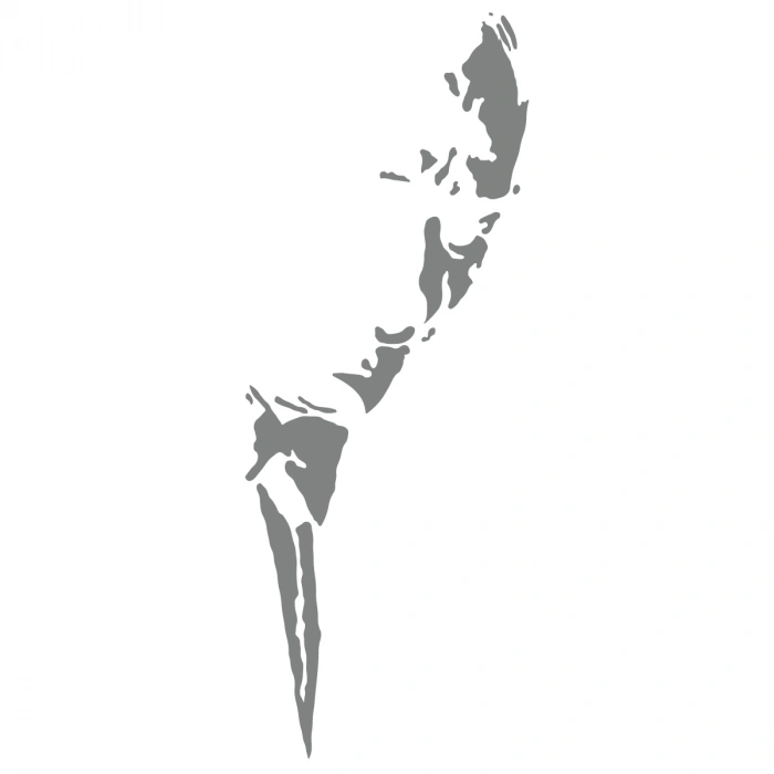 Atatürk Silüet Sticker17x17 Cm Gri