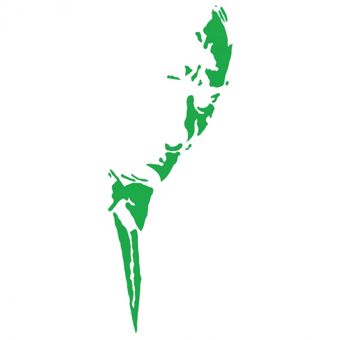 Atatürk Silüet Sticker17x17 Cm Yeşil