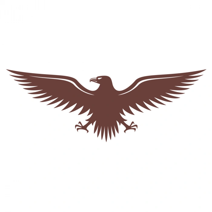 Kartal Sticker17x17 Cm Kahverengi