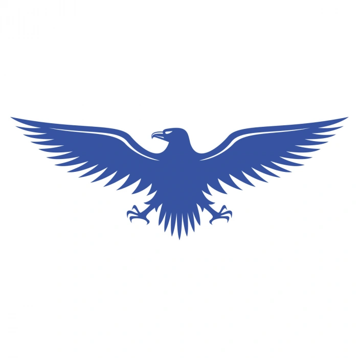 Kartal Sticker17x17 Cm Mavi