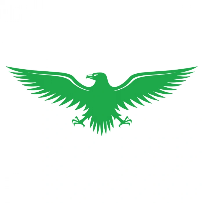 Kartal Sticker17x17 Cm Yeşil