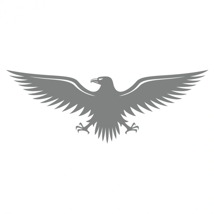 Kartal Sticker17x17 Cm Gri
