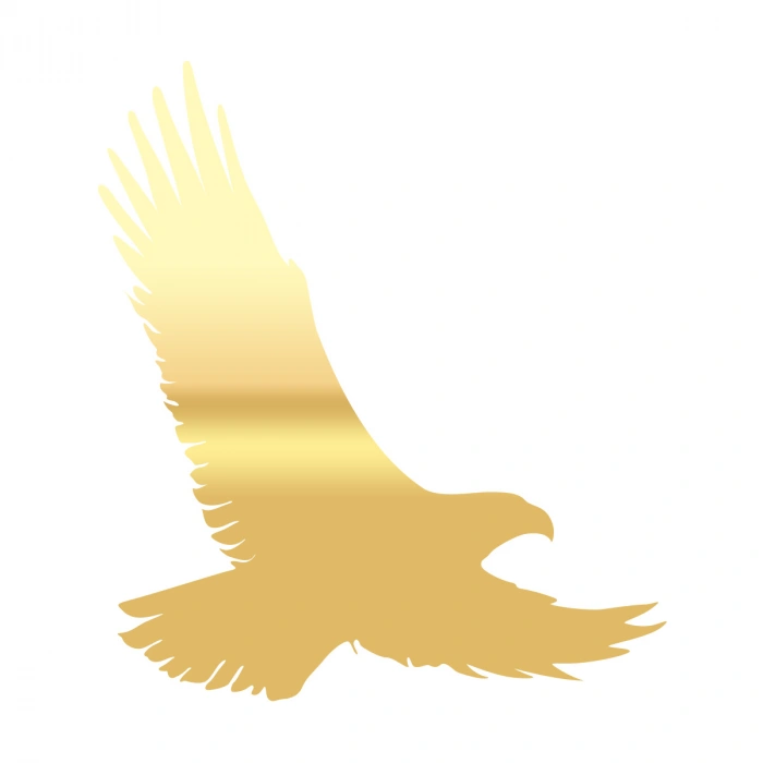 Uçan Kartal Sticker17x17 Cm Gold