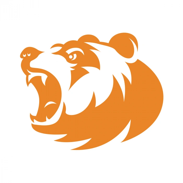 Ayı Kafası Sticker 17x17 Cm Turuncu