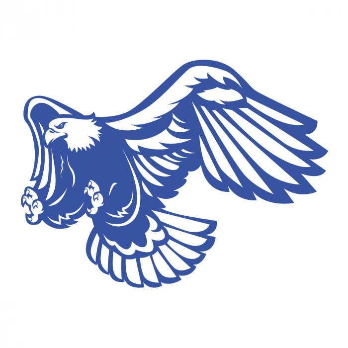 Kartal Sticker17x17 Cm Mavi