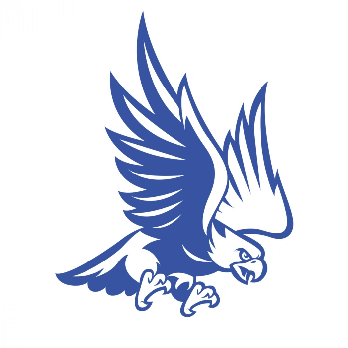 Kartal Sticker17x17 Cm Mavi