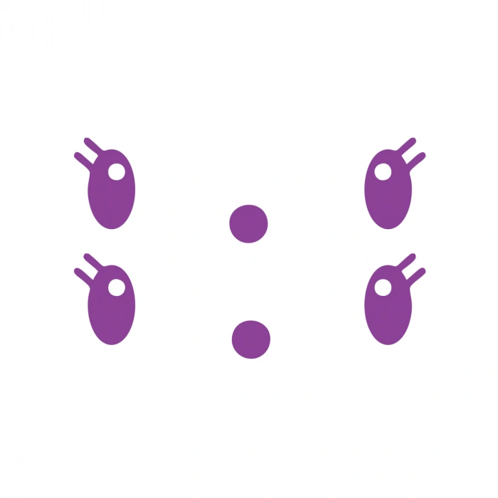 Gülen Surat Ayna Sticker 2 Adet17x17 Cm Mor