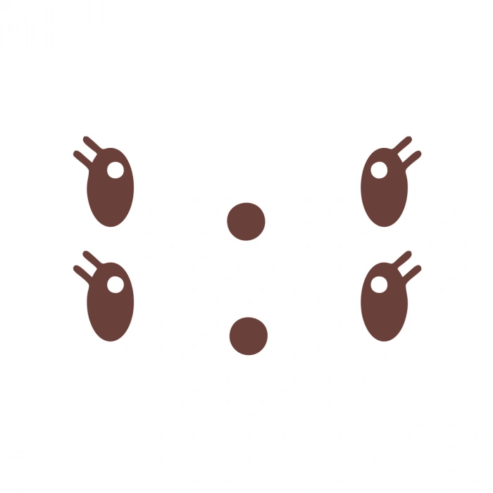 Gülen Surat Ayna Sticker 2 Adet17x17 Cm Kahverengi