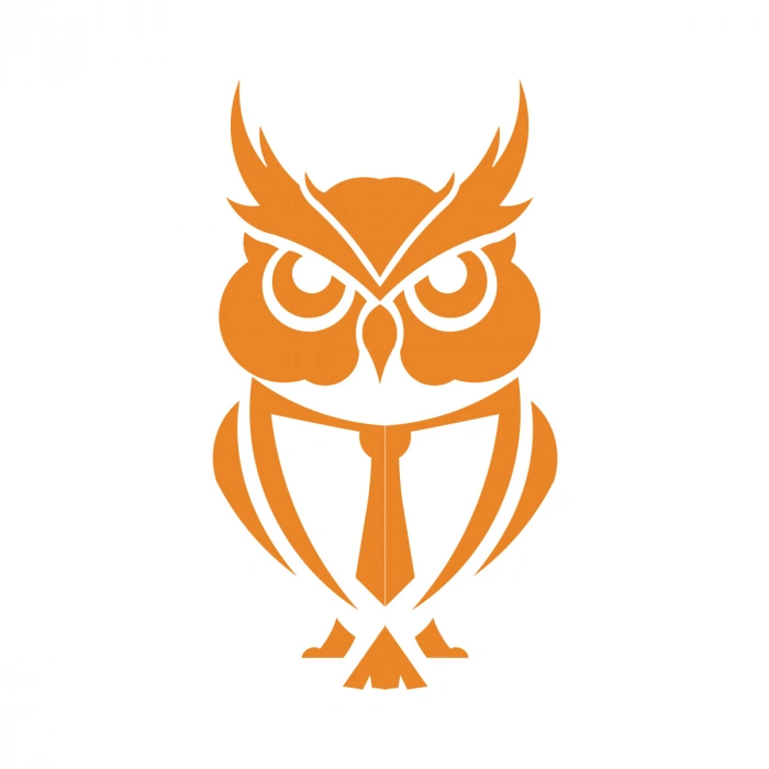 Kıravatlı Baykuş Sticker 17x17 Cm Turuncu