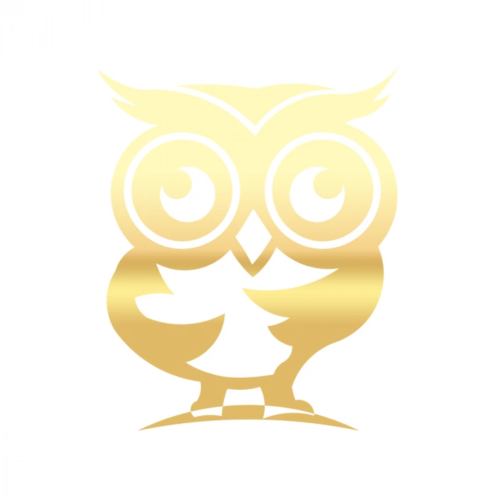 Sevimli Baykuş Sticker 17x17 Cm Gold