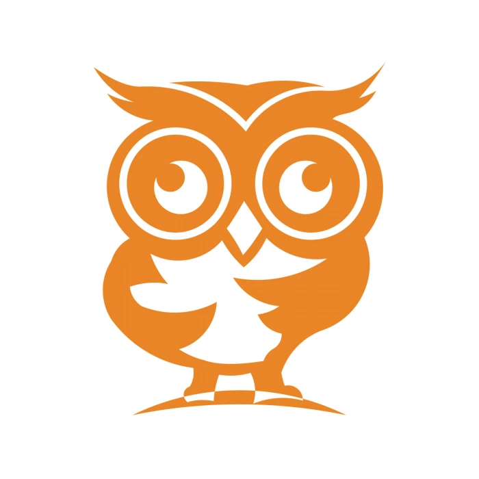 Sevimli Baykuş Sticker 17x17 Cm Turuncu