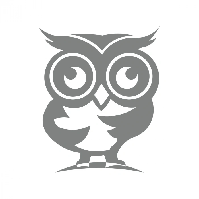 Sevimli Baykuş Sticker 17x17 Cm Gri