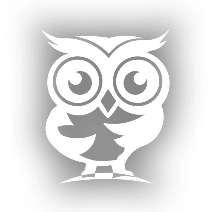 Sevimli Baykuş Sticker 17x17 Cm Beyaz