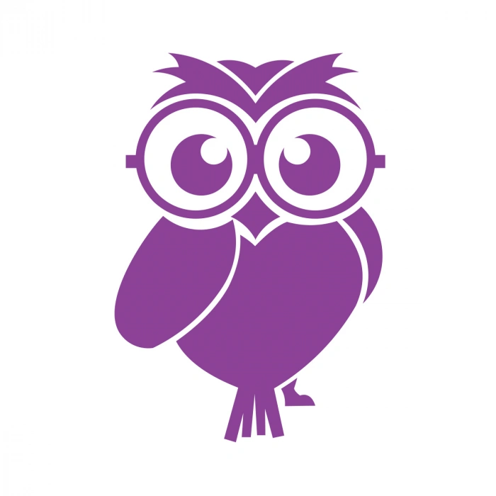 Sevimli Baykuş Sticker 17x17 Cm Mor