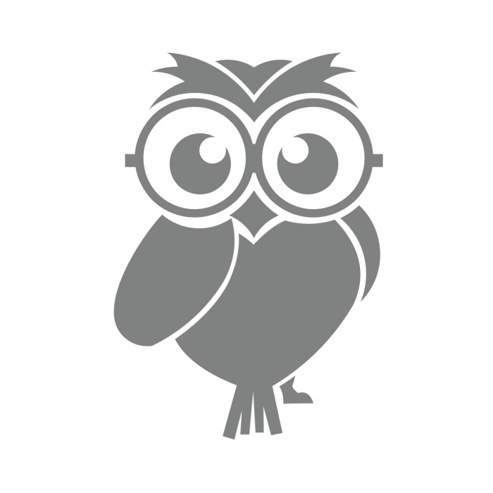 Sevimli Baykuş Sticker 17x17 Cm Gri