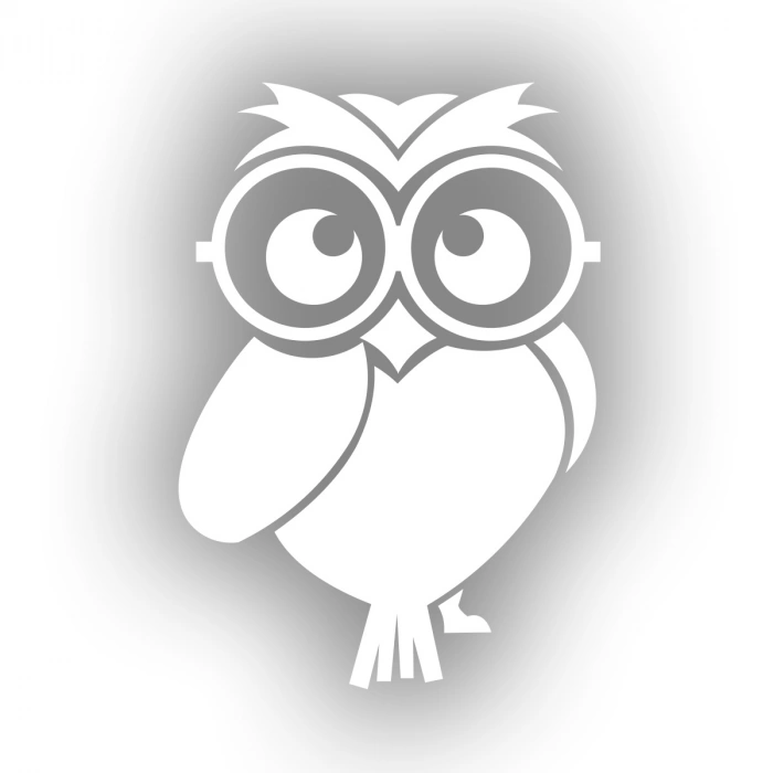 Sevimli Baykuş Sticker 17x17 Cm Beyaz