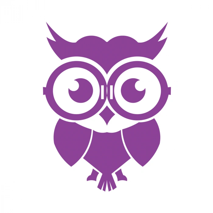 Sevimli Baykuş Sticker 17x17 Cm Mor