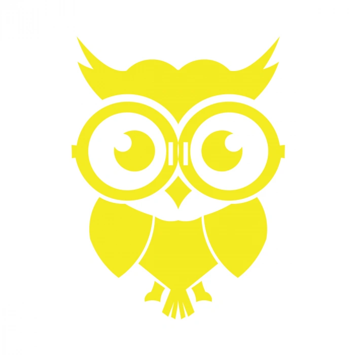 Sevimli Baykuş Sticker 17x17 Cm Sarı